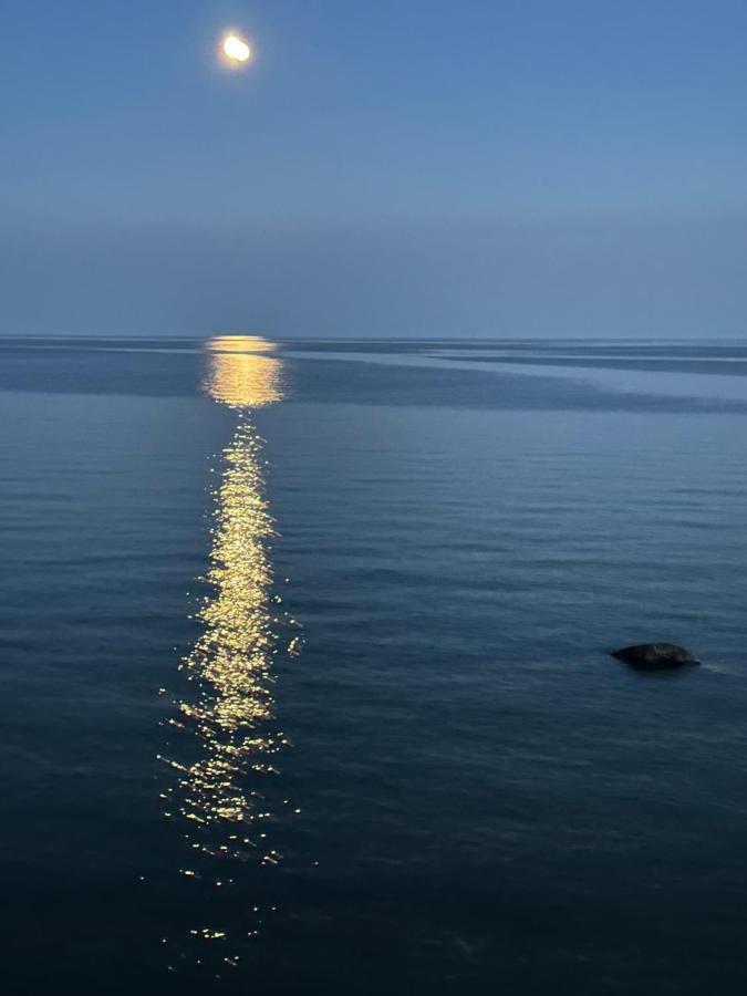 Bed and Breakfast The Wind In The Willows - Luxury Lakefront Oasis à Cobourg Extérieur photo